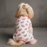 Watermelon Print Dog Pajama Romper for Summer