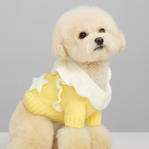 Dog Dress Cute Princess Lapel Top