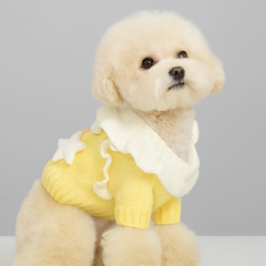 Dog Dress Cute Princess Lapel Top