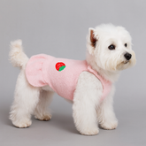 Dog Dress Chihuahua Winter Cute Suspender Strawberry Print Skirt