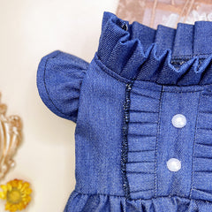 Denim Dog Dress with Ruffles and Button Detail