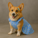 Blue Daisy Dog Dress for Small Pets