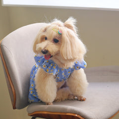 Blue Daisy Dog Dress for Small Pets