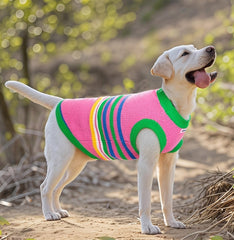 Striped Dog Shirt with Collar and Leash Ring