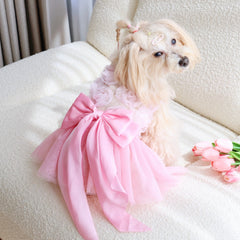 Soft Denim Dog Harness Outfit for Small Pets