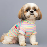 Dog Dresses Cute Lace Color Cat Stripe Skirt Vest