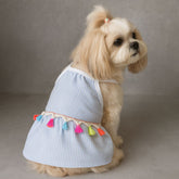 Blue Striped Dog Sundress with Colorful Tassels