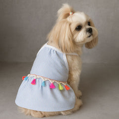Blue Striped Dog Sundress with Colorful Tassels