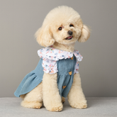 Dog Dress Cute Flower Casual Lace