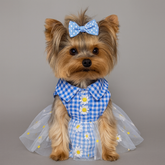 Dog Dress Blue Spring Flower Plaid Lace