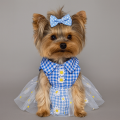 Dog Dress Blue Spring Flower Plaid Lace