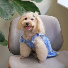 Blue Daisy Dog Dress for Small Pets