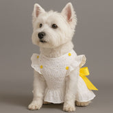 Dog Dresses Yellow Hollow Sun Flower Princess