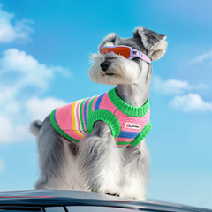 Striped Dog Shirt with Collar and Leash Ring