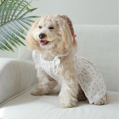 White Cherry Print Dog Dress with Lace Trim