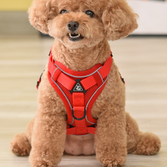 Dog Vest Small Pet Rope