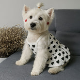 Soft Denim Dog Harness Outfit for Small Pets