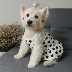 Soft Denim Dog Harness Outfit for Small Pets