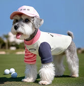 Striped Dog Shirt with Collar and Leash Ring
