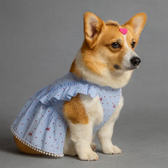 Soft Denim Dog Harness Outfit for Small Pets