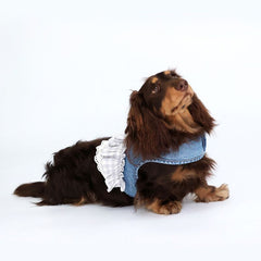 Pet cowboy-style chest and back harness