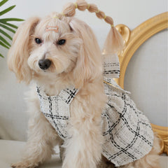 Dog Dress Cute Princess Lapel Top