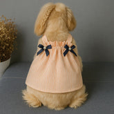 Soft Denim Dog Harness Outfit for Small Pets