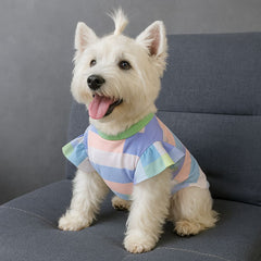 Color Block Dog Dress with Bow Tie
