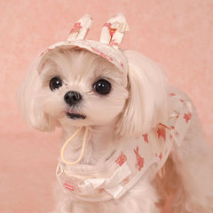 Pet Harness & Hat Set: 100% Cotton Cute-Style Leash