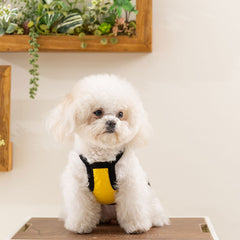 Cartoon Dog Harness Vest with Funny Print