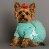 Dress of Dog Spring Summer Letter Print Lace Skirt