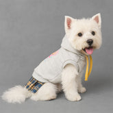 Soft Denim Dog Harness Outfit for Small Pets