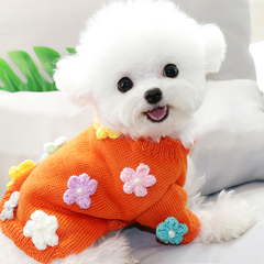 Dress of Dog Short Sweater Schnauzer Casual Small Pet