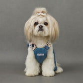 Soft Denim Dog Harness Outfit for Small Pets