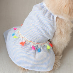Blue Striped Dog Sundress with Colorful Tassels