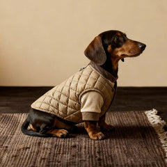 Two-Piece Cotton Vest Pet Outfit