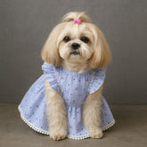 Blue Polka Dot Dog Dress with Ruffles