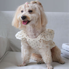 Polka Dot Dog Dress with Black Bows