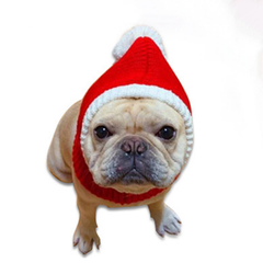 Dog Hoodie Pat Hat Christmas