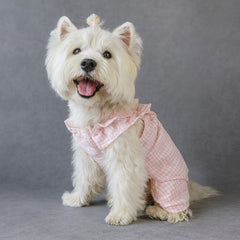 Peach Gingham Dog Dress with Ruffle Sleeves