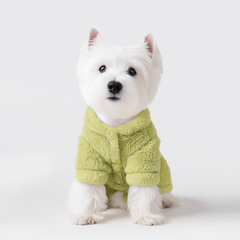 Striped Dog Shirt with Collar and Leash Ring