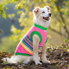 Striped Dog Shirt with Collar and Leash Ring