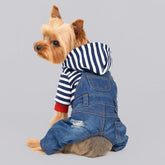Dog Hoodie Puppy Jumpsuit Ripped Denim