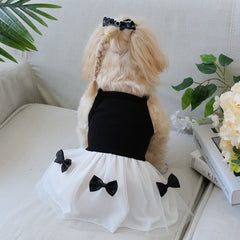Dog Dress Cute Princess Lapel Top