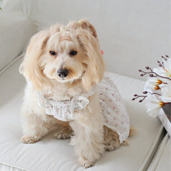 White Cherry Print Dog Dress with Lace Trim