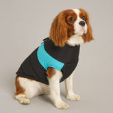 Dog Shirts Warm Padded Pet Cotton Vest