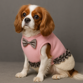 Dog Shirts Spring Autumn Pet Bow Lace Skirt