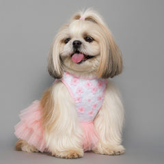 Dog Wedding Dress Teddy Princess