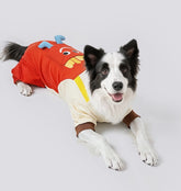 Striped Dog Shirt with Collar and Leash Ring