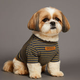 Kids Dogs T Shirt Teddy Bichon Hiromi Striped Tops